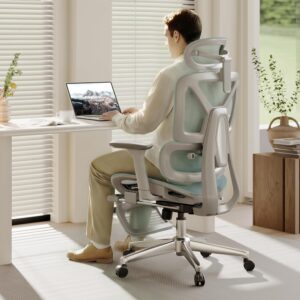 Silla ergonómica FLEXISPOT ErgoX con reposapiés y soporte lumbar, ideal para oficina en casa